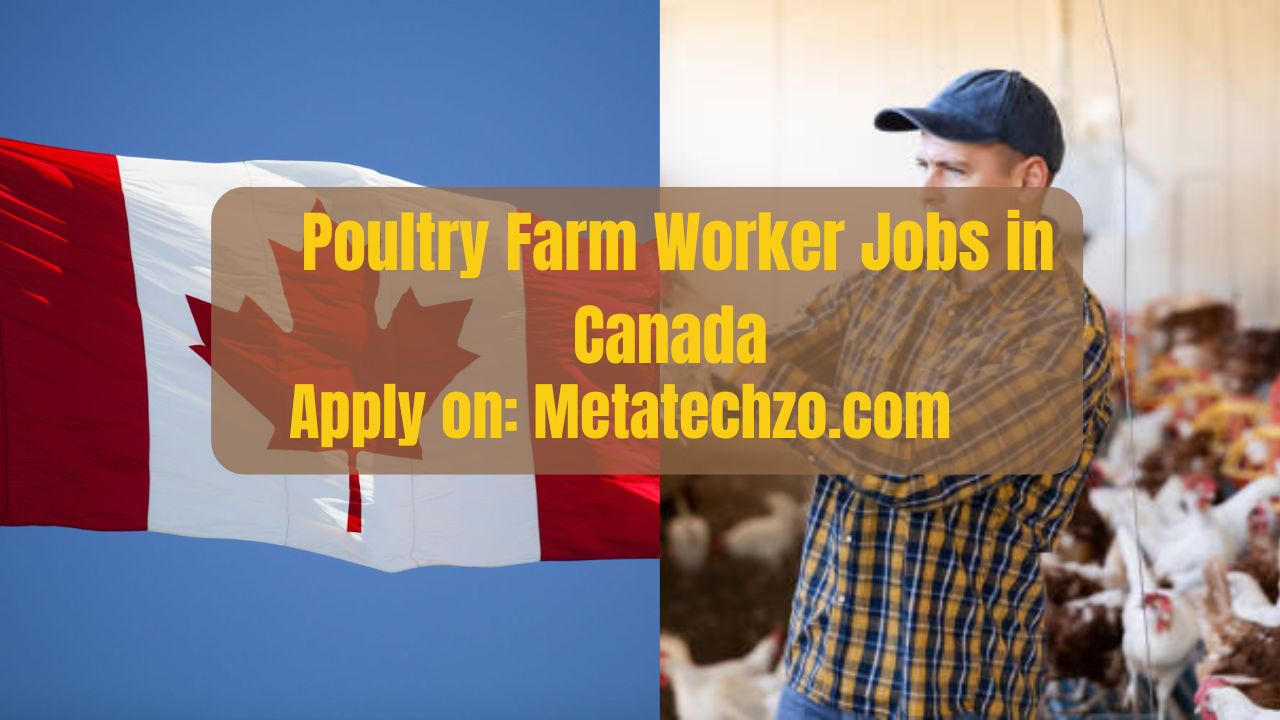 Secure Your Future: Canadian Visa Sponsored Poultry Farm Worker - 2024